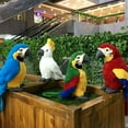 thumbnail image 6 of Bluelans Simulation Plush Parrot Bird Plush Stuffed Doll Kids Toy Table Sofa Decor, 6 of 7