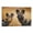 Frame-style, variant on African Wild Dog Education Poster Poster Decorative Painting Canvas Wall Art Living Room Posters Bedroom Painting 12x18inch(30x45cm)