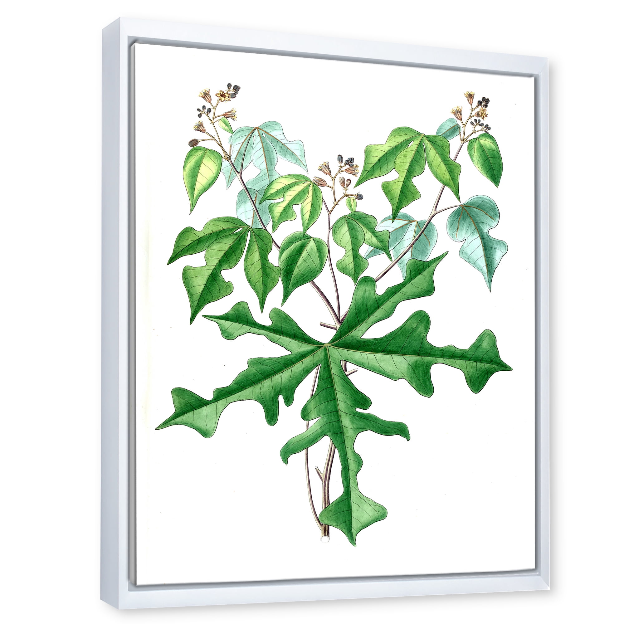 Designart 'Ancient Drawing of Wild Plants' Traditional Framed Canvas Wall Art Print