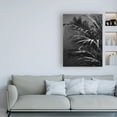 thumbnail image 3 of Trademark Fine Art 'Black Plant Fabrikken' Canvas Art by Design Fabrikken, 3 of 3