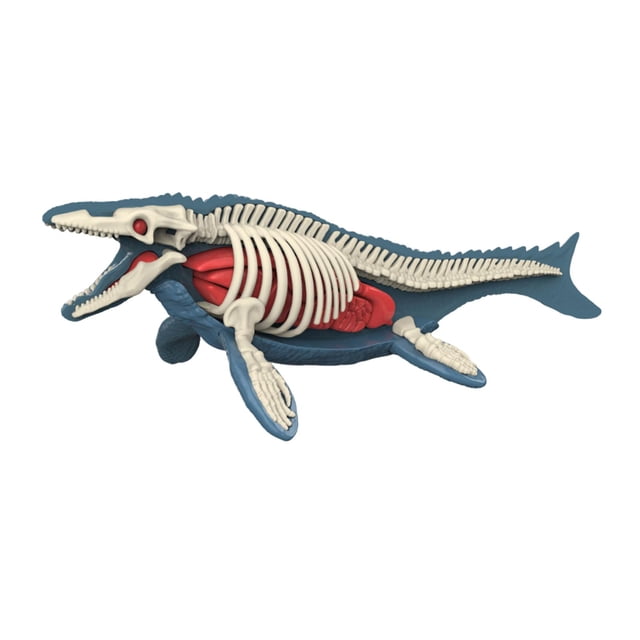 deevoka Animal Body Model Classroom Body Organ Parts for Study Tool Ages 8+ Children 3106