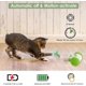 thumbnail image 2 of Interactive Cat Toy for Indoor Cats, Tumbler Design Cat Red Light Dot Toy, Intelligent Kitten Toys with Replaceable Feathers, Rechargeable 2000 mAh Lo, 2 of 4