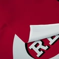 thumbnail image 3 of The Northwest Group Cincinnati Reds 50" x 60" Premium Wall Hanging, 3 of 3