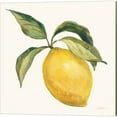 thumbnail image 3 of Great Art Now Le Orange & Le Citron on Cream by Silvia Vassileva 2 Piece Canvas Art Set Each 14W x 14H, 3 of 3