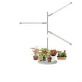 thumbnail image 1 of 10W LED Grow Light Full Spectrum Plant Growth Light Height Adjustable Dimmable Growing Lamp With Timer For Indoor Plants, 1 of 6