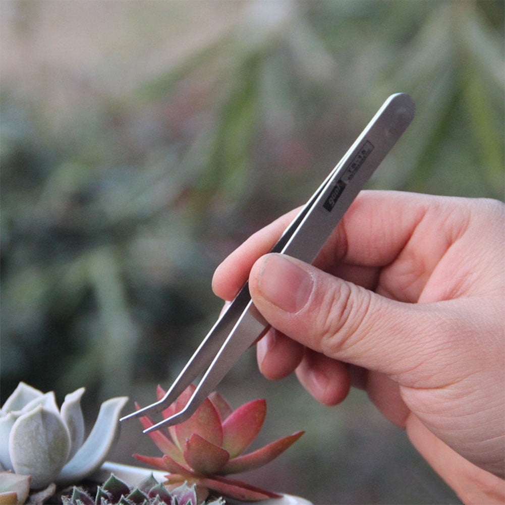 Stainless Steel Tweezers for Catching Insect Seeding Transplant