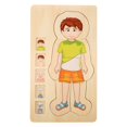 thumbnail image 4 of Human Body Structure Brick Toy, Durable Multilayer Brick Toy, Early Educational Intelligent Brick Toy For Boys Girls, 4 of 8