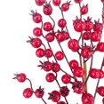 thumbnail image 4 of Holiday Time Branche de Baies Rouges, 4 of 4