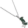 thumbnail image 2 of HAHDAXIA Stainless Steel Pakistan Map Flag Pendant Necklace Gold Color Pakistani Map Ethnic Jewelry, 2 of 5