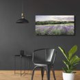 thumbnail image 6 of Epic Art 'Lavender Fields' by Lori Deiter, Acrylic Glass Wall Art, 48"x24", 6 of 8