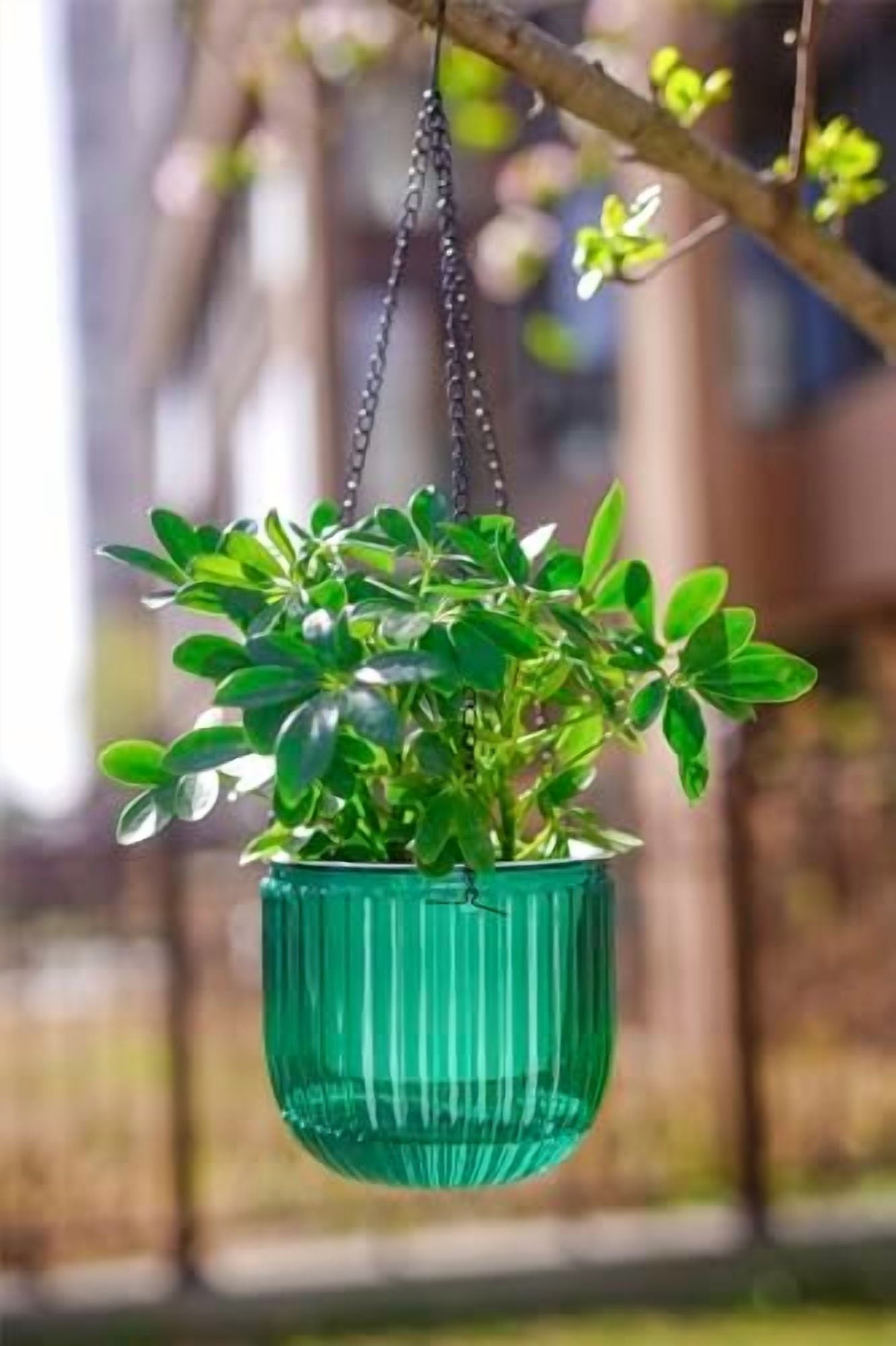 2 Pack Self Watering Hanging Planters Indoor Flower Pots, 6.5 Inch Outdoor Hanging Plant Basket, Hanger with 3Hooks Drainage Holes for Garden Home (Emerald + Gray)