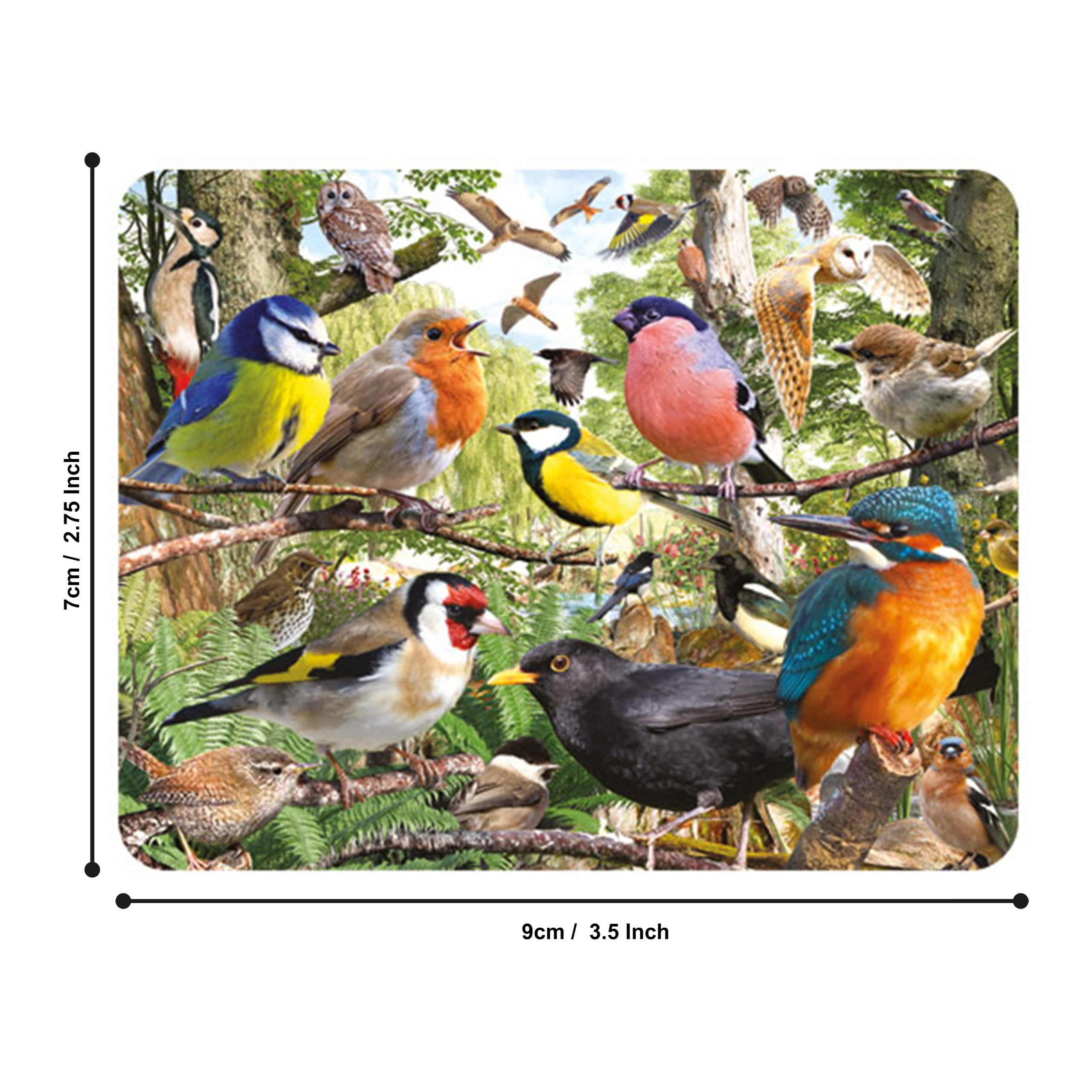 3D LiveLife Magnet - Nature's Home from Deluxebase. Lenticular 3D Bird  Fridge Magnet. Magnetic decor for kids and adults with artwork licensed  from 