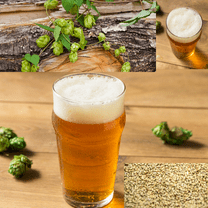 Homebrewstuff 1 Gallon Table Top Nano-Brew Speakeasy American Cream Ale (Partial Mash) Recipe