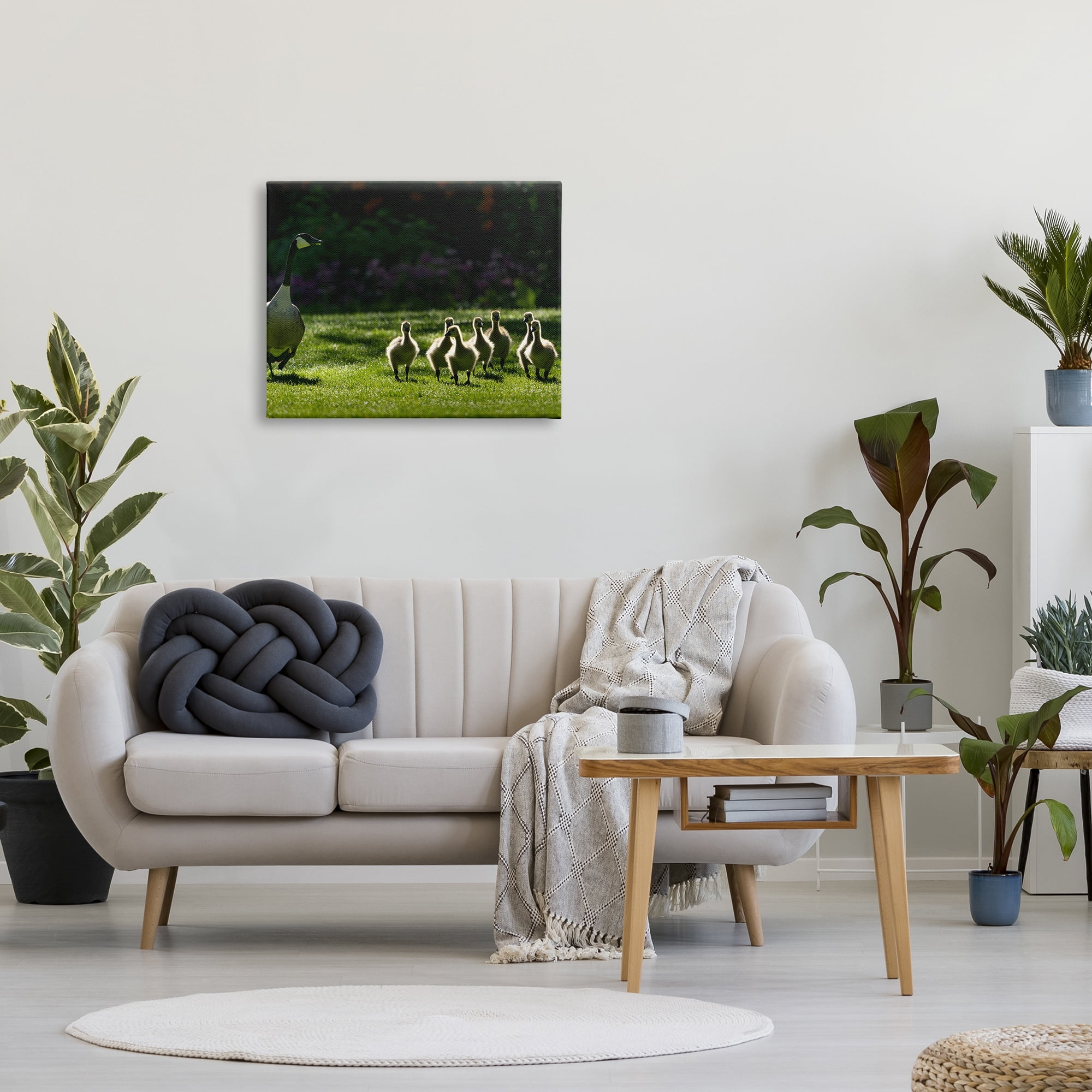 Stupell Industries Goose Family Photography Animals & Insects Photography Gallery Wrapped Canvas Print Wall Art, 30 x 24