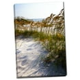 thumbnail image 2 of Gango Home Decor Sea Oats & Shadow II by Alan Hausenflock (Ready to Hang); One 24x36in Hand-Stretched Canvas, 2 of 4