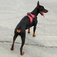 thumbnail image 4 of Durable Adjustable Dog Training Harness Explosion-proof Harness for Medium and Large Dogs, 4 of 6