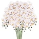 thumbnail image 1 of Uxcell 6-Pack Flores de Orquídea Artificial 9 Pétalos Grandes 37 Pulgadas Ramo de Seda Phalaenopsis Blancas Púrpuras Falsas para el Hogar/Boda, 1 of 1