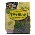 thumbnail image 1 of TifBlair Centipede Grass Seed (1 Lb.) Direct from The Farm, 1 of 4