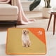 thumbnail image 4 of Fiudx Colchoneta de Verano para Mascotas, Diseño Refrescante de Ratán, Transpirable y Antideslizante, Ideal para Suelos, Asientos de Coche, Viajes, Senderismo, Mascotas. Verde, Naranja y Azul, 37 X 2, 4 of 6