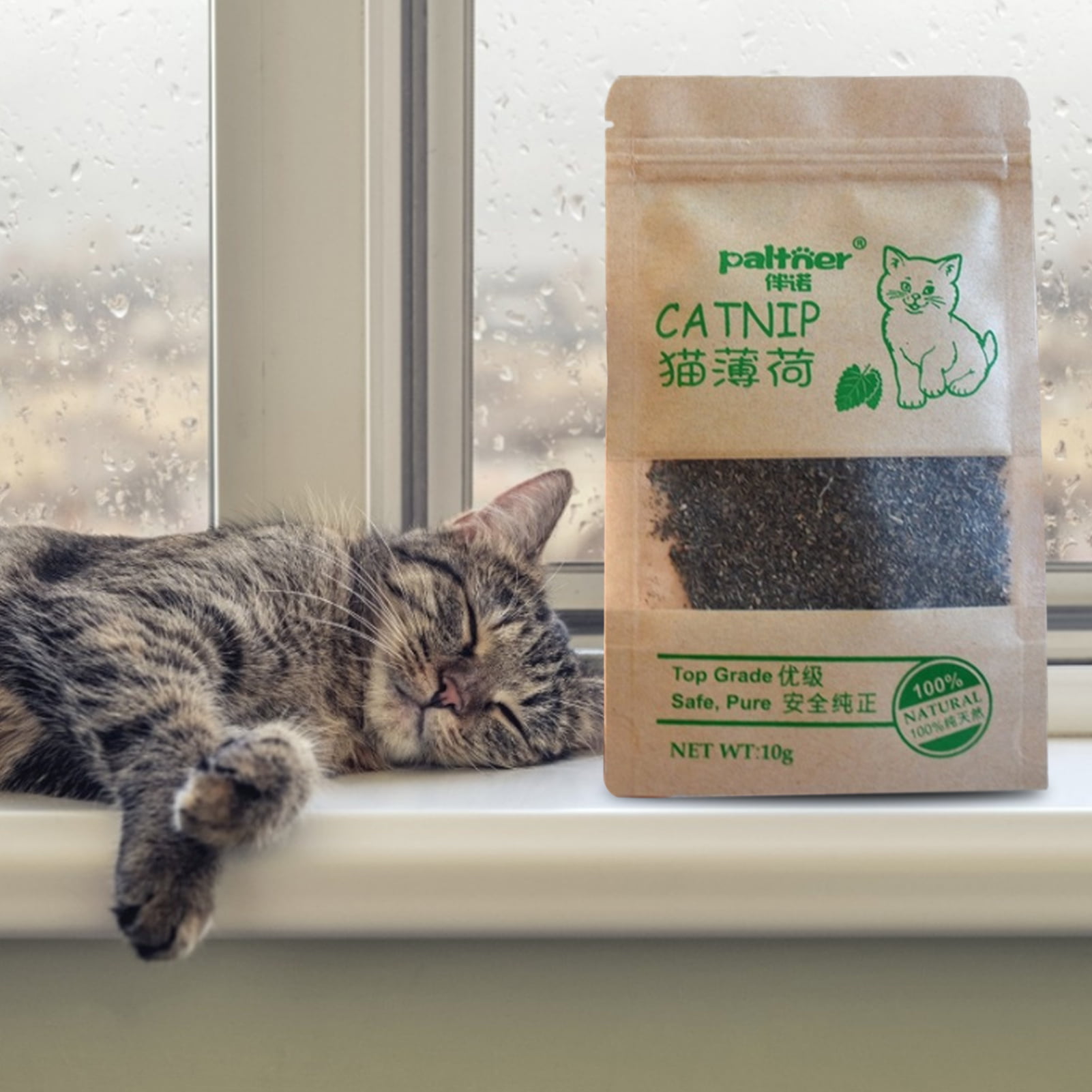 10g Sun Dried Organic Cat Mint/Catnip Herb for Cats ~ Nepeta Cataria ~ FREE P&P 