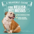 thumbnail image 6 of 32 ounces enzyme pet cleaner - Urine remover and stain remover for dogs and cats - Citrus spray cleaner - Puppy supplies, 6 of 9