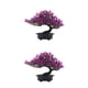 thumbnail image 1 of Plantas artificiales Bonsai Tree Injueey Planta de interior realista para el hogar Oficina Decoración de escritorio, 1 of 6