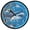 Cartoon Sharks in Sea, variant on Dailycode Night Light Wall Clock Glow in The Dark 12 inch Battery Operated Silent Luminous Clocks, Strawberries Flowers Leaf