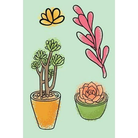 Succulents : Best Way to Keep Passwords Organized Helpful Notebook Organizer for Remembering Username Pin and Login (Best Way To Organize Comics)