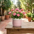 thumbnail image 7 of Ordivic 6 Inch Pink Ceramic Planter with Drainage Hole – Small Round Flower Pot for Succulents, Orchids, Indoor Outdoor, Boho Home Decor, Gift for Plant Lover, 7 of 7