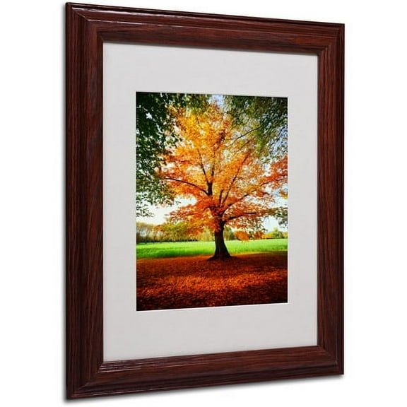 Trademark Fine Art "Tout Feu" Canvas Art by Philippe Sainte-Laudy, Wood Frame