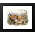 thumbnail image 2 of Joseph Smit 18x14 Black Modern Framed Museum Art Print Titled - Phasianus Reevesii. (1872), 2 of 5