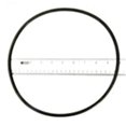 thumbnail image 1 of Pool Lid O-Ring, 1 of 1