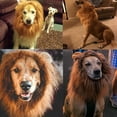 thumbnail image 5 of Aihimol Mane For Dog With A Animals Tail Wig For Dog With Ears Pet Animals Mane Costume Button Adjustable, 5 of 5