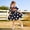 E-Deep Blue Ladybug, variant on 100% Cotton Toddler Girls Summer Short Sleeve Dress Rabbit Print Easter Jersey Dresses For 2-7 Years
