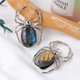 thumbnail image 5 of Natural Elongated Stone Stone Spider Ornament Silver Alloy Ornament, Handmade Halloween Decor Healing Crystal Gift for Home And Office Unique Animal Figurine, 5 of 5