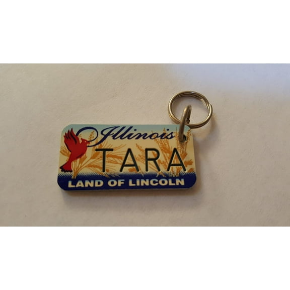 Illinois Land of Lincoln Tara Keychain Key Holder Key Ring New