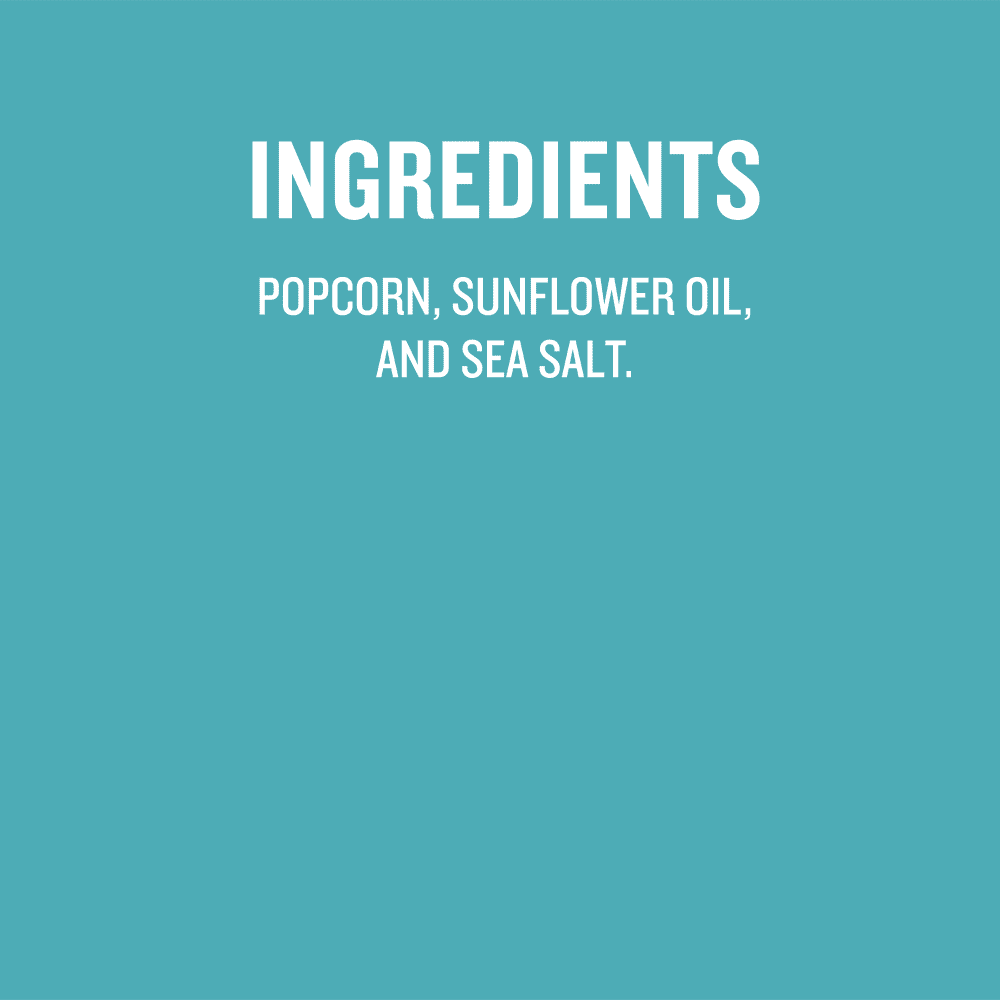 (4 pack) Skinny Pop Sea Salt Mini Cakes