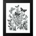 thumbnail image 2 of Wild Apple Portfolio 15x18 Black Modern Framed Museum Art Print Titled - Butterfly Bouquet II Linen BW II, 2 of 5