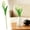 D, variant on 2Pc Clearance Under $3 Artificial Tulips Artificial Tulip Pu For Entryway Creating A Navy Floral Look Short-Stem Design (B)