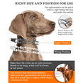 Dog Prong Collar, Dog Pinch Training Collar with Quick Release Snap Buckle And Adjustable Length