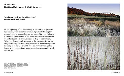 The Oudolf Gardens at Durslade Farm : Plants and Planting (Hardcover) - image 3 of 11