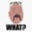 1pcs, variant on What? Er, Phone Decal Water Bottle Stickers Car Decals, Funny Birthday Gift