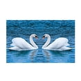 thumbnail image 1 of 5D Animal para adultos DIY resina de decoración para hogar artesanía Cisne BLESIY Kit de pintura de diamantes, 1 of 7