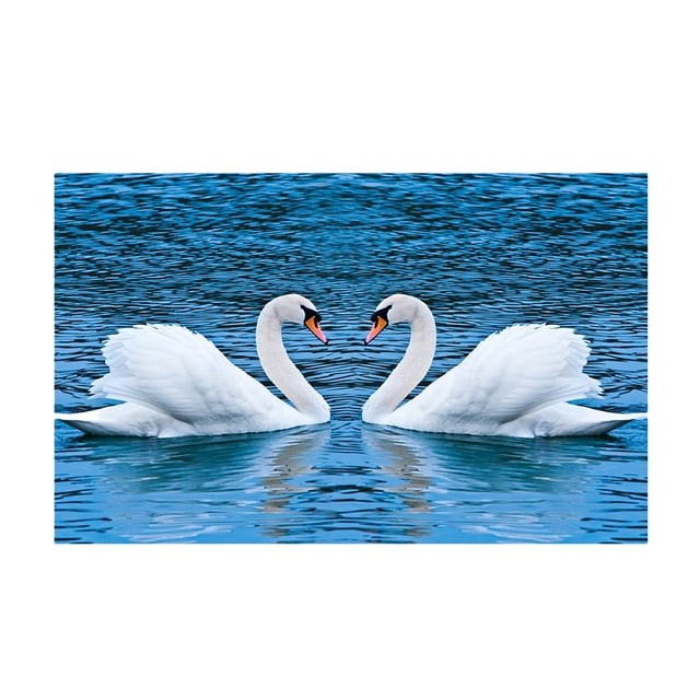 5D Animal para adultos DIY resina de decoración para hogar artesanía Cisne BLESIY Kit de pintura de diamantes