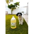thumbnail image 4 of Battery Backpack Sprayer with 1 Gallon Mosquito Magician Concentrate, 4 of 9