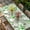 White Green Light Green, variant on St. Patrick's Day Table Cloths for 3 Foot Rectangle Tables, Green Black Plaid Lucky Clovers Check Patio Waterproof Elastic Fitted Tablecloths, Washable Rectangular Table Cover for Camping