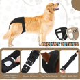 thumbnail image 3 of Pantalon de Protection Ajustable pour Chien, Lavable, pour Saignement, 3 of 5