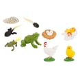 thumbnail image 5 of Las figuras de animales de simulación de juguetes para establecen el proceso de gallo Zulema Juego de crecimiento de insectos para niños, 5 of 5