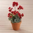 thumbnail image 2 of OakRidge Silk Geranium Bush – Artificial Flowers Outdoor Décor – Red, 19” Long, Set of 3, 2 of 3