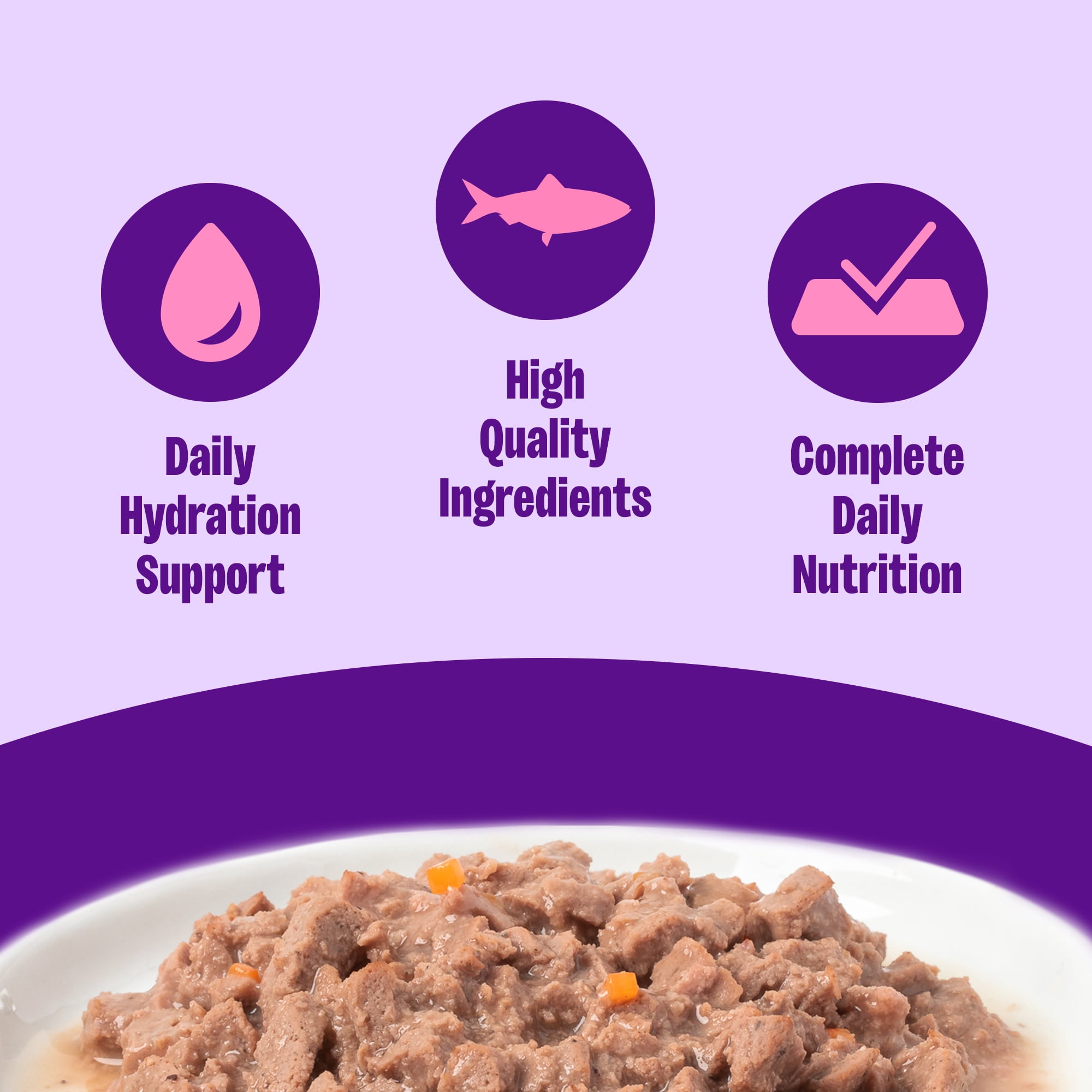 (12 pack) Wellness Complete Health Gravy Adult Wet Cat Food, Natural, Protein-Rich, Grain Free, 3 Ounce , 12 Pack, (Salmon Entree)